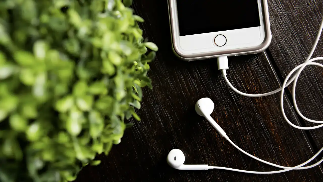 Apple EarPods (дротові навушники)