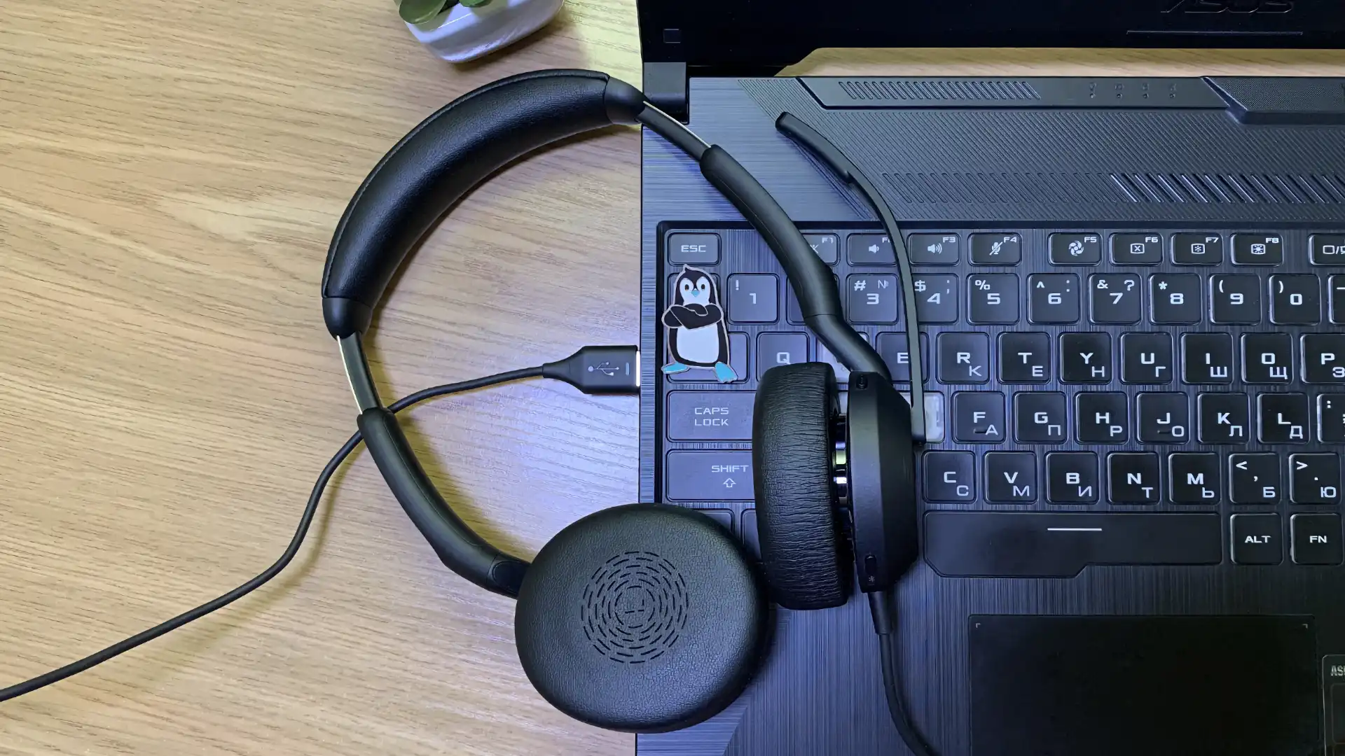 Jabra Evolve2 50